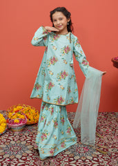 Modest Stitched 3 Piece Festive Emb Cotton Collection'2024-D-8395