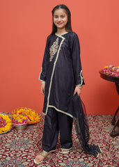 Modest Stitched 3 Piece Festive Emb Cotton Collection'2024-D-8425