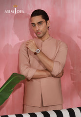 Asim Jofa Stitched Men's Premium Blended Suit-AJMRW-32