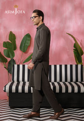 Asim Jofa Stitched Men's Premium Blended Suit-AJMRW-28