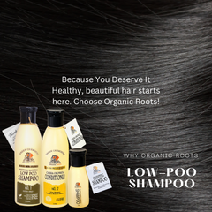 Organic Roots Natural Shampoo & Conditioner (Reetha) 300Ml