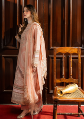 Meerak Stitched 3 Piece Emb Lawn Suit-Suela