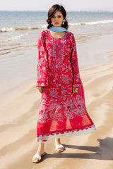 Aafreen By Riaz Arts Unstitched 3 Piece Emb Laser Cut Lawn Vol-05 Collection'2025-AF-171