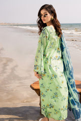 Aafreen By Riaz Arts Unstitched 3 Piece Emb Laser Cut Lawn Vol-05 Collection'2025-AF-177