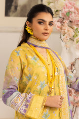 Aafreen By Riaz Arts Unstitched 3 Piece Emb Chikankari Lawn Collection-AF-178