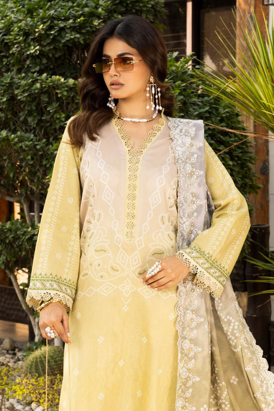 Aafreen Chunri By Riaz Arts Unstitched 3 Piece Emb Lawn Collection-AF-199