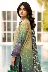 Aafreen Chunri By Riaz Arts Unstitched 3 Piece Emb Lawn Collection-AF-200