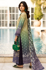 Aafreen Chunri By Riaz Arts Unstitched 3 Piece Emb Lawn Collection-AF-200