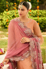 Shehnai By Alizeh Unstitched 3 Piece Festive Formals Colection'2025-Af-Zn-2218-Sitara