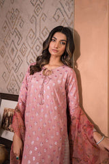 Nooru by Sheenora Stitched 3 Piece Silk Collection-MIRANI