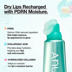 Anua Pdrn Hyaluron Lip Serum (10Ml)