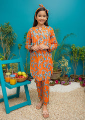 Modest Stitched 2 Piece Spring Summer Collection'2025-Sundown