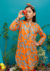 Modest Stitched 2 Piece Spring Summer Collection'2025-Sundown