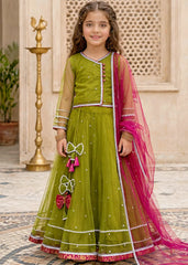 Modest Girls 3 Piece Green Net Lehenga-11440-Grn