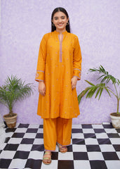 Modest Stitched 2 Piece Emb Cotton Collection'2024-D-8465