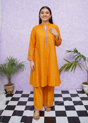 Modest Stitched 2 Piece Emb Cotton Collection'2024-D-8465