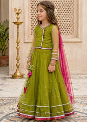 Modest Girls 3 Piece Green Net Lehenga-11440-Grn