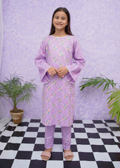 Modest Stitched 2 Piece Emb Cotton Collection'2024-D-8535