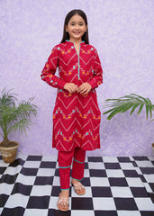 Modest Stitched 2 Piece Emb Cotton Collection'2024-D-8545