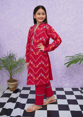 Modest Stitched 2 Piece Emb Cotton Collection'2024-D-8545