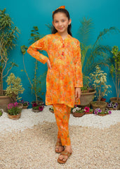 Modest Stitched 2 Piece Spring Summer Collection'2025-Sunset Bloom