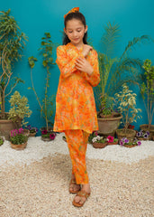 Modest Stitched 2 Piece Spring Summer Collection'2025-Sunset Bloom