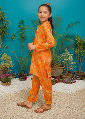 Modest Stitched 2 Piece Spring Summer Collection'2025-Sunset Bloom