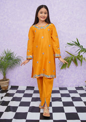 Modest Stitched 2 Piece Emb Cotton Collection'2024-D-8485