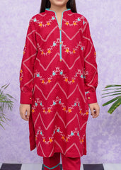 Modest Stitched 2 Piece Emb Cotton Collection'2024-D-8545