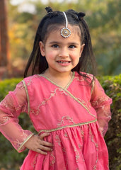 Modest Stitched 3 Piece Festive Edit Vol-02 Collection'2025-10010-Pnk