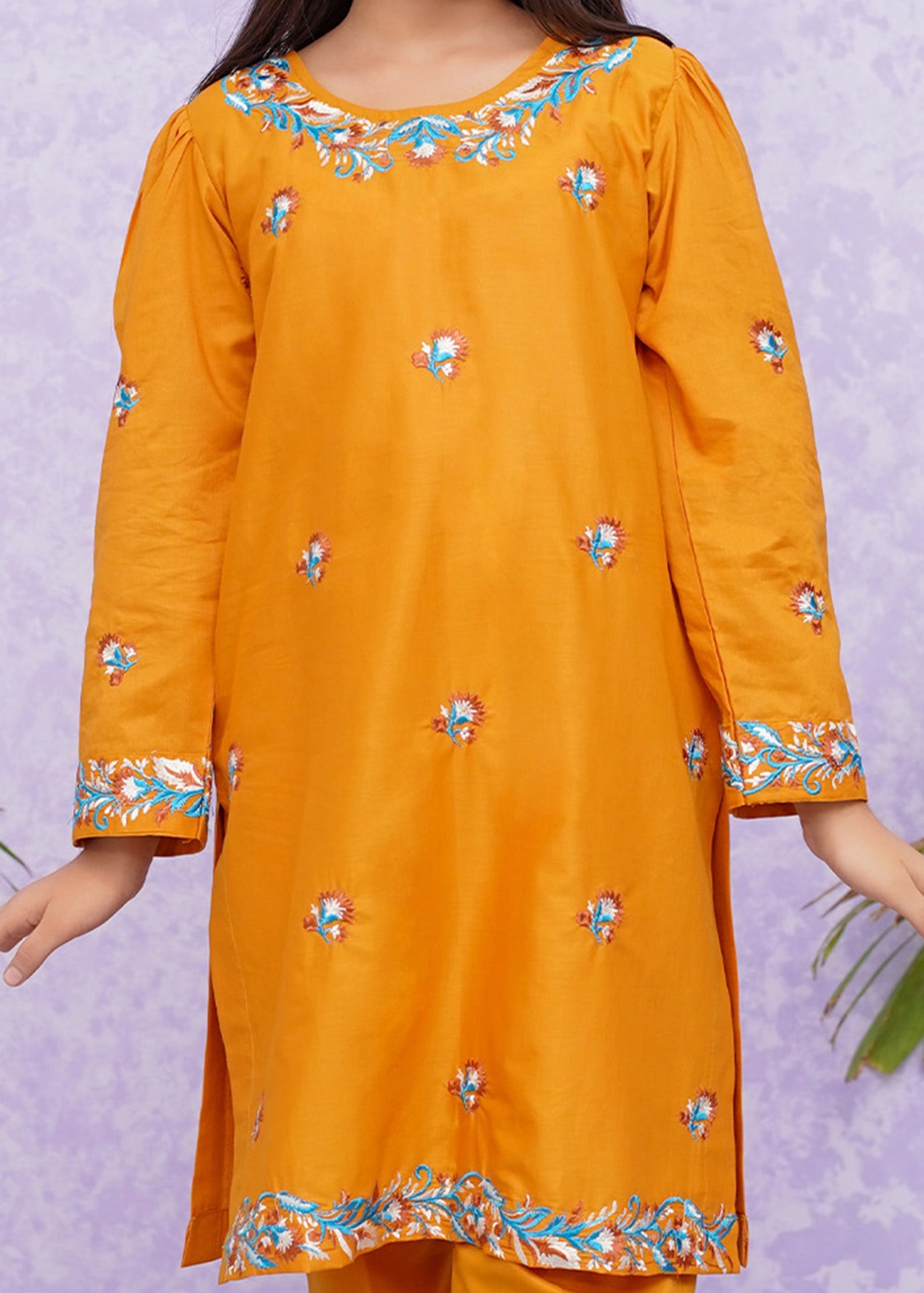 Modest Stitched 2 Piece Emb Cotton Collection'2024-D-8485