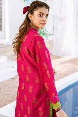 Aayra Stitched Summer Collection'2025-AY0038 - Dhalia Life 2Pc