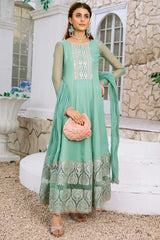 Aayra Stitched Formals Collection'2025-AY346 - Gras Jungle 3Pc