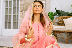 Aayra Stitched Formals Collection'2025-AY310 - Lavender Garden 3Pc