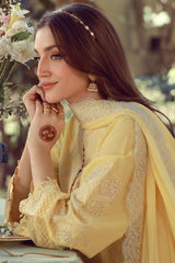 Sahar Unstitched 3 Piece Chikankari Festive Edit Suit-CK-26-V2-10