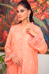 Zaaviay Stitched Organza Collection coral (Two Piece)