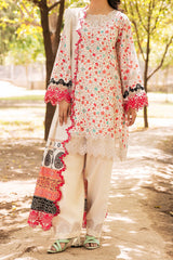 Range By Charizma Unstitched 3 Piece Emb Lawn Vol-01 Collection'2024-CRN4-04