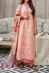 Afsanah by Seran Unstitched 3 Piece Lawn Spring Summer Collection'2024-D-01-Elnaz