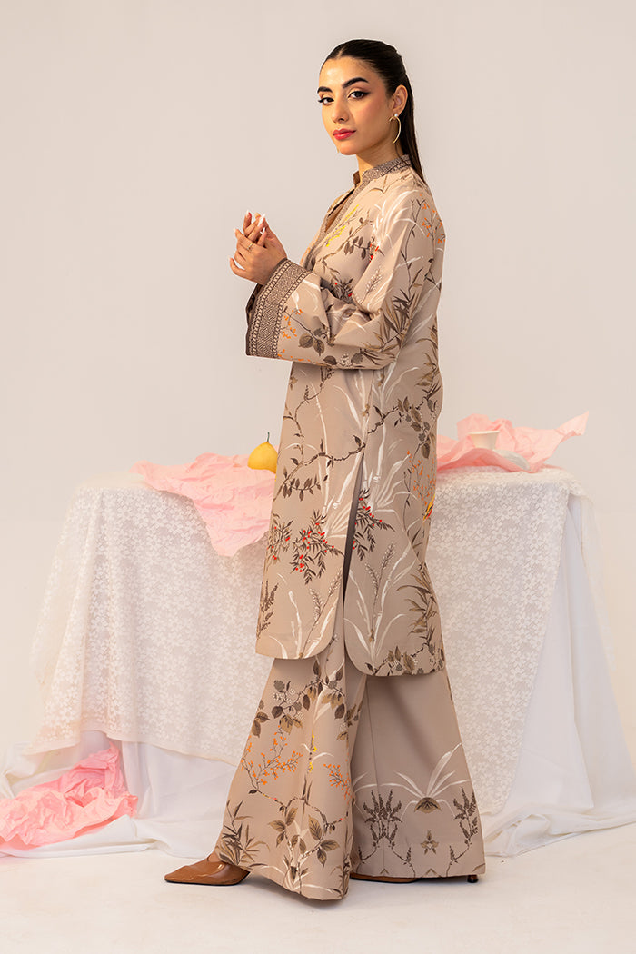 Fleur Co Ords By Sheenora Stitched 2 Piece Lawn Silk Collection'2025-Whisper