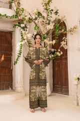 Zar E Gul By Abeera Stitched 2 Piece Poly Lawn Collection'2025-ZG-09