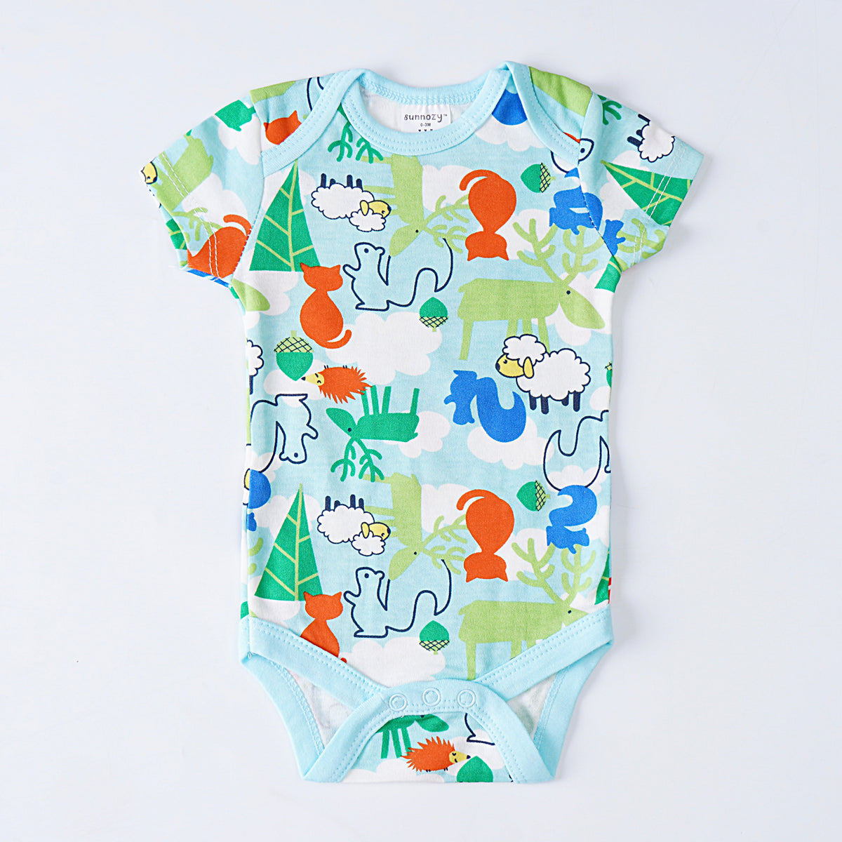 Kjunction Infant Boys Romper (F-21)