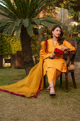 Noira By Panache Stitched 3 Piece Lawn Eid Collection-Daania