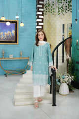 Urban Cut 2 Piece Cotton Dobby Chikankaari Embroidered Suit