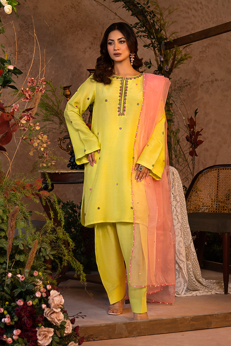 Nazare By Panache Stitched 3 Piece Luxury Pret Collection-Azara