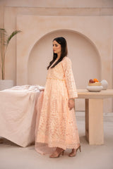 Banno By Manahils Stitched 3 Piece Formals-N3-PEACH