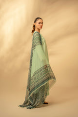 Zouj Unstitched 3 Piece Chikankari Lawn Edit Collection'2025-Sage Bloom