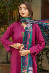 Tng By Md Odhni Collection-Talaash Odhni