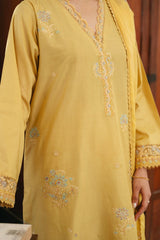 Spring Edit'25 By Mannat Clothing Stitched Collection-Dawn