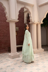 Rang Nirala By Manahils Stitched 3 Piece Formals Collection'2025-K-165-PASTEL GREEN