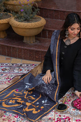 Tng By Md Stole Collection-Sawera Stole